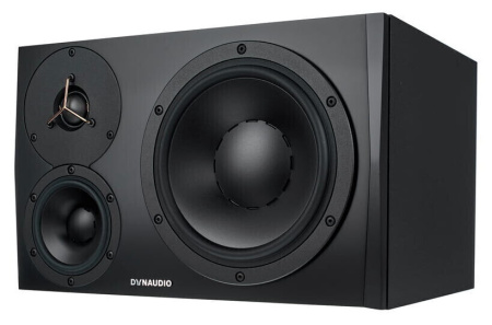 Dynaudio LYD-48 Black Left по цене 177 600 ₽