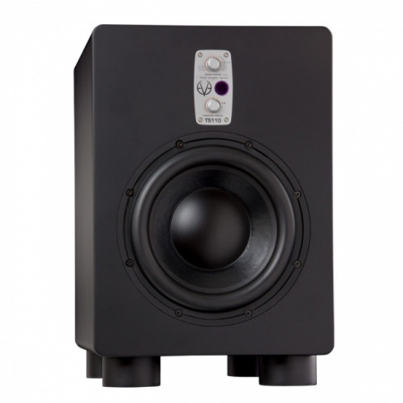 EVE AUDIO TS110 по цене 131 150 ₽