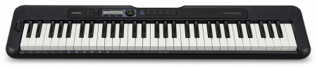 Casio CT-S300 по цене 33 235 ₽