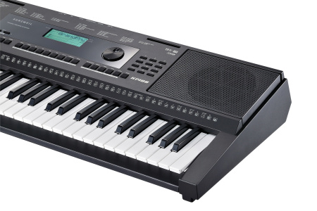 Kurzweil KP100 LB по цене 32 220 ₽