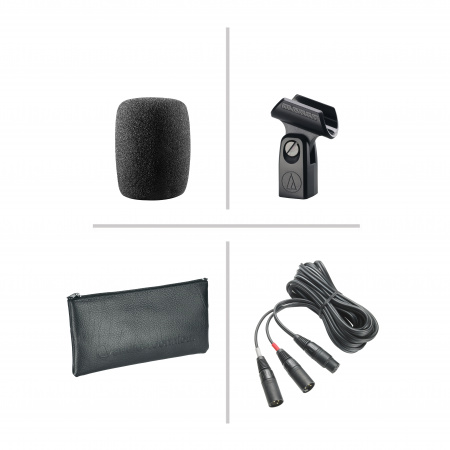 Audio-Technica BP4025 по цене 65 050 ₽