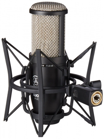 AKG P220 по цене 34 788.00 ₽