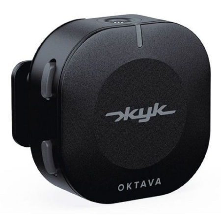 Октава Жук-1-Ч по цене 13&nbsp;050.00 ₽