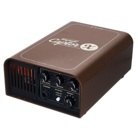 Two Notes Torpedo Captor X SE по цене 83 400 ₽