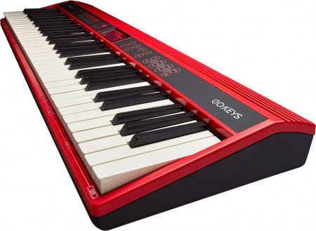 Roland GO-61K по цене 55 000 ₽