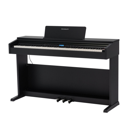 Rockdale Etude 256 BK по цене 59&nbsp;900 ₽