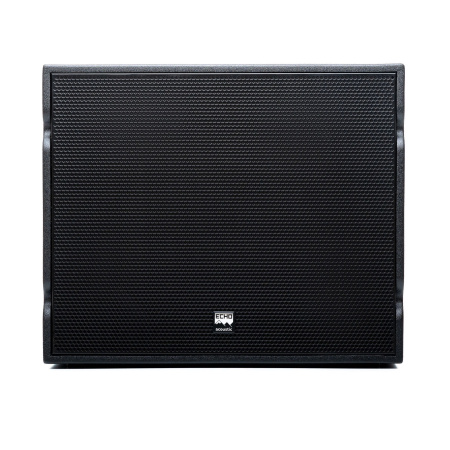 Echo Acoustic EM118SP по цене 104 650 ₽