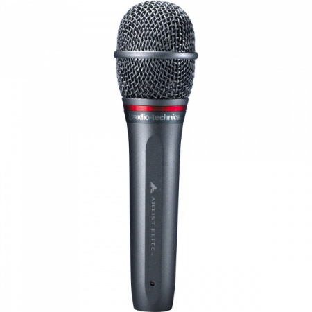 Audio-Technica AE6100 по цене 29 950 ₽