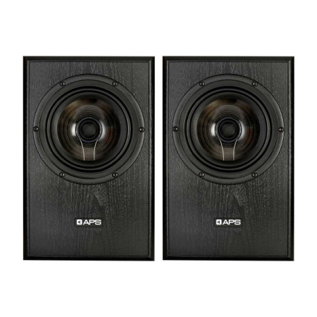 APS Coax 2 Black Pair по цене 152&nbsp;590 ₽
