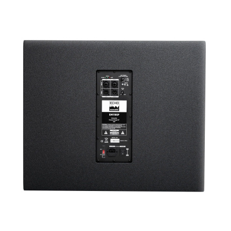 Echo Acoustic EM118SP по цене 104 650 ₽