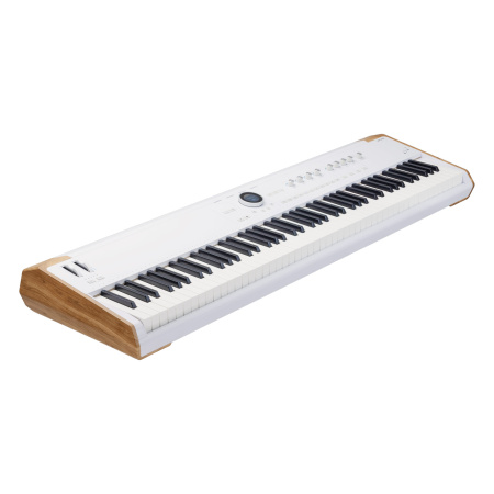 Arturia AstroLab 88 по цене 255 000 ₽