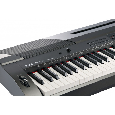 Kurzweil KA90 LB по цене 59 450 ₽