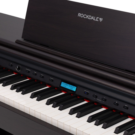 Rockdale Etude 256 BR по цене 59&nbsp;900 ₽