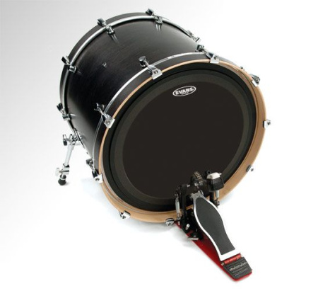 Evans BD22EMADONX по цене 6 150 ₽