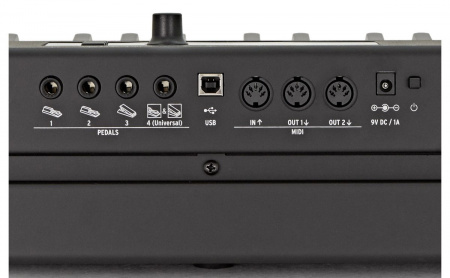 Studiologic SL88 Studio по цене 51 300 ₽