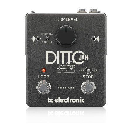 TC Electronic DITTO JAM X2 LOOPER по цене 28 050 ₽