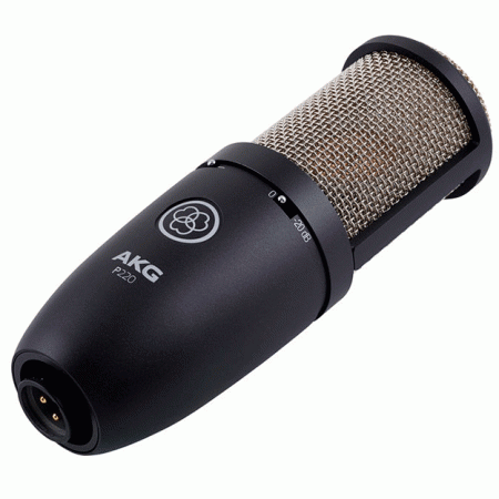 AKG P220 по цене 34 788.00 ₽