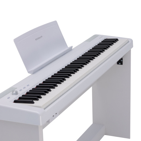 Rockdale Nocturne S 256 W по цене 49&nbsp;990 ₽