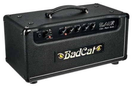 Bad Cat Cub 40 Reverb USA Player Series Head по цене 205 270 ₽