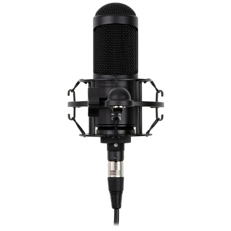 Radiotehnika MCD-01 по цене 8 490 ₽