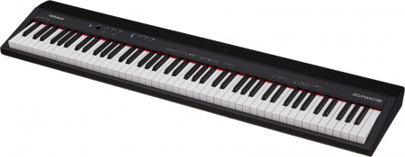 Roland GO-88P по цене 79 500 ₽