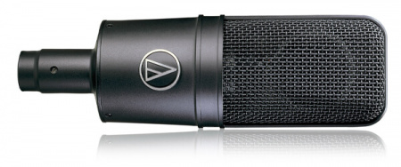 Audio-Technica AT4033ASM по цене 53 350 ₽