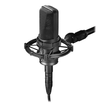 Audio-Technica AT4050 по цене 110 550 ₽