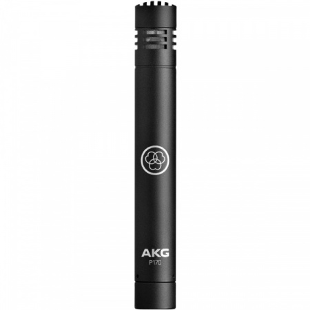 AKG P170 по цене 19 188 ₽