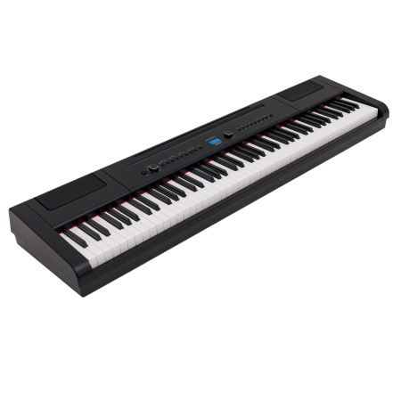 Rockdale Elegy Black по цене 31 900 ₽