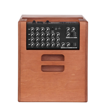 Acus One ForStrings 10 Ferdi Wood купить за 159 990 ₽ с доставкой по Москве и всей России в интернет-магазине ALL for DJ Acus One ForStrings 10 Ferdi Wood по цене 159 990 ₽