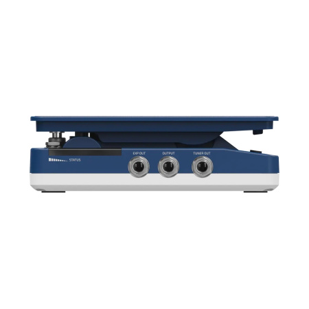 Hotone Wong Press по цене 25 900.00 ₽