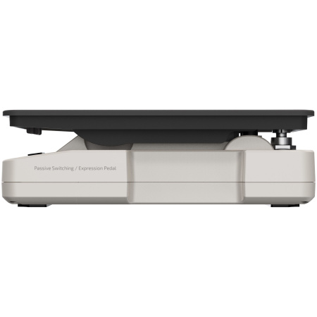 Hotone Ampero 2 Press по цене 9 990.00 ₽