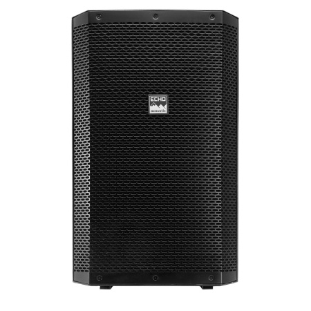 Echo Acoustic EX115P по цене 31 920 ₽