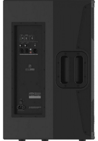 Mackie SRM650 по цене 87 300 ₽
