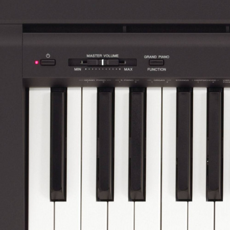 Yamaha P-45B по цене 79 990 ₽