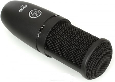 AKG P120 по цене 14 650 ₽