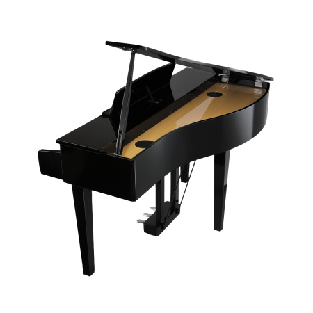 Kawai DG30 EP по цене 501 600 ₽