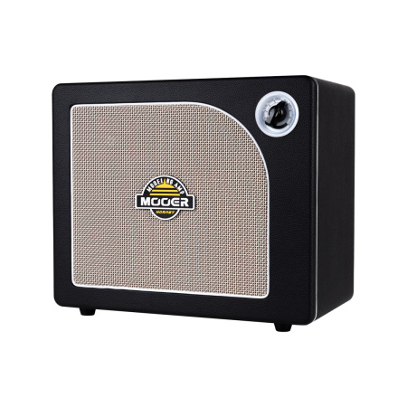 Mooer DH06 Hornet 30BK по цене 12 250 ₽