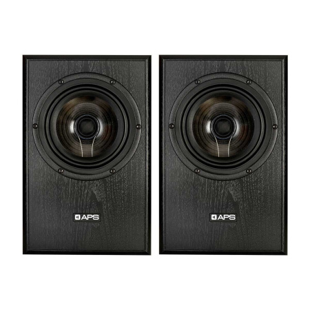 APS Coax 2 Black Pair по цене 152&nbsp;590 ₽