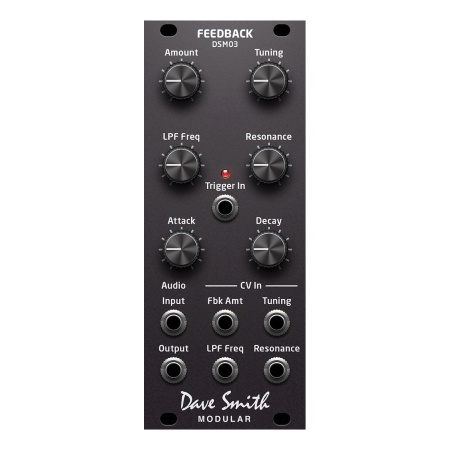 Dave Smith DSM03 Feedback Module по цене 26 880 ₽