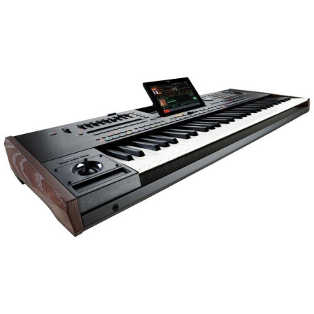 Korg Pa5X 61 по цене 495 096 ₽