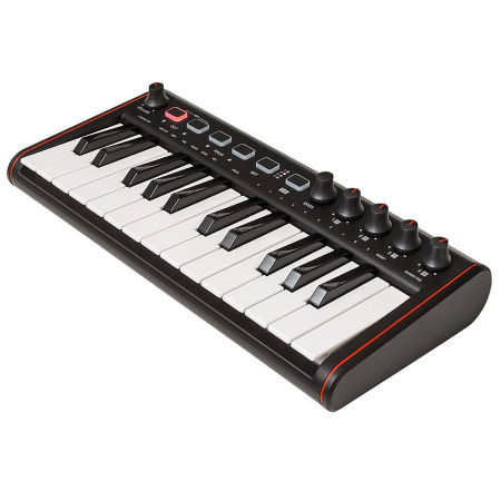 IK Multimedia iRig Keys 2 Mini по цене 19 700 ₽