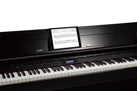 Roland DP603-CB по цене 268 000 ₽