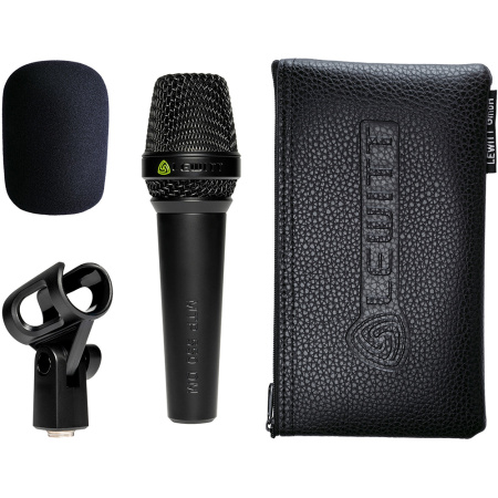 Lewitt MTP550DM по цене 16 200 ₽