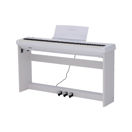 Rockdale Nocturne S 256 W по цене 49&nbsp;990 ₽