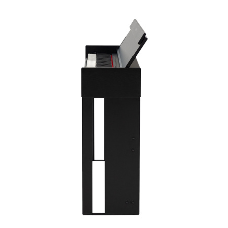 Rockdale Virtuoso 256 BK по цене 57&nbsp;900 ₽