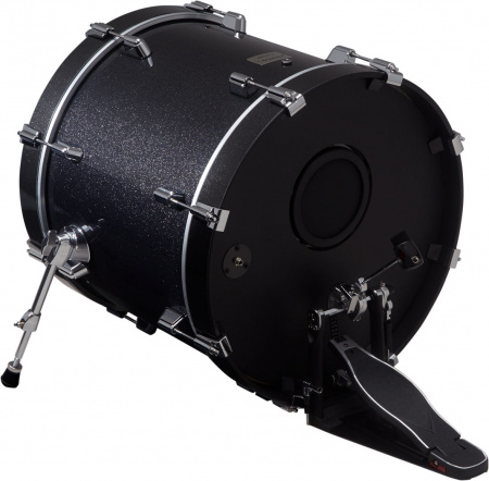 Roland KD-200-MS по цене 136 500 ₽