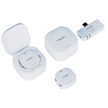 Октава Жук-2-Б по цене 13&nbsp;050.00 ₽