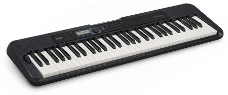 Casio CT-S300 по цене 33 235 ₽