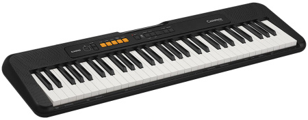 Casio CT-S100 по цене 14 600 ₽